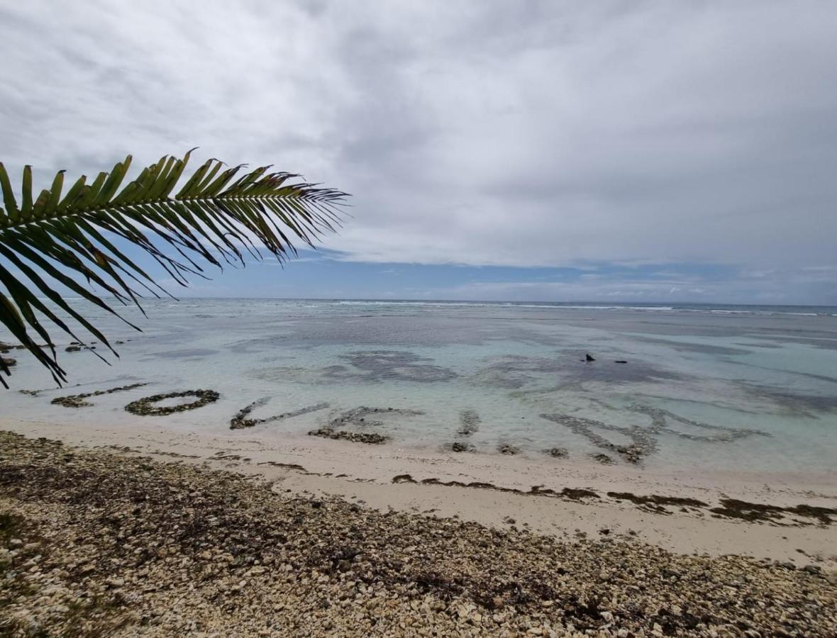 L'oiseau Du Paradis Vue
