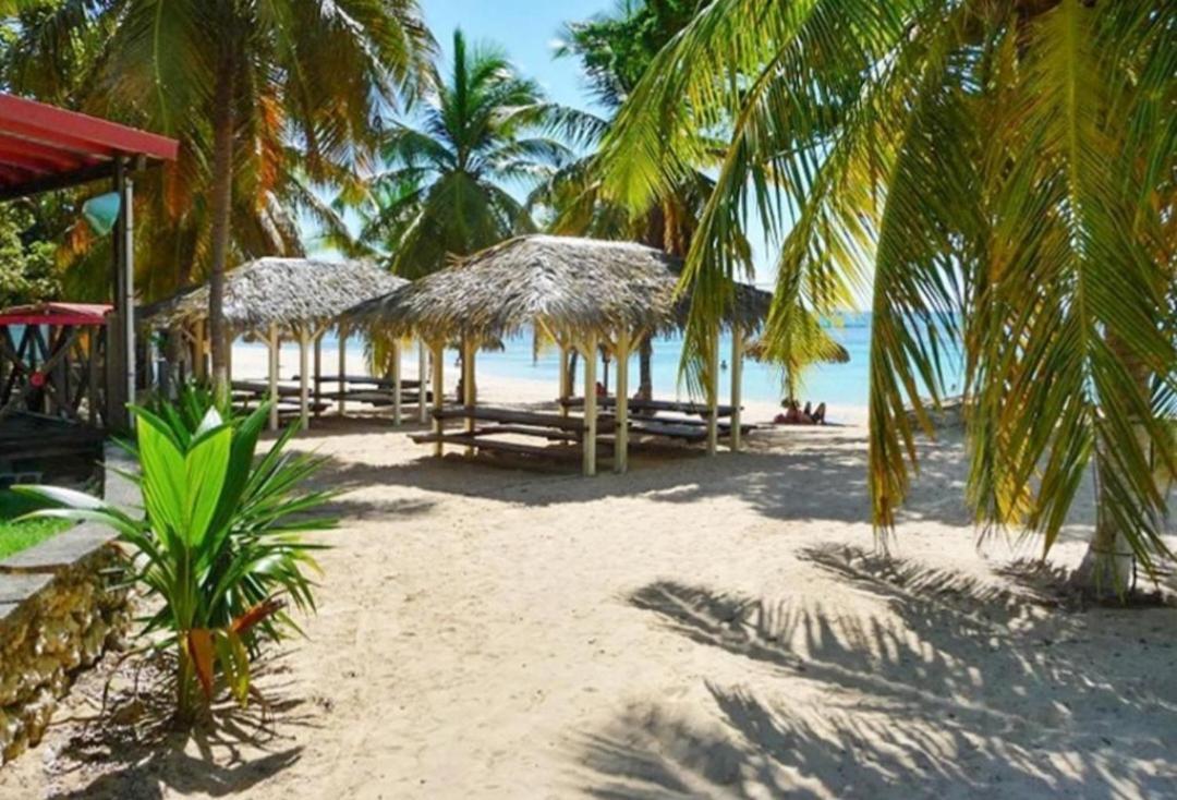 L'oiseau Du Paradis Vue * Saint-Francois (Grande-Terre)