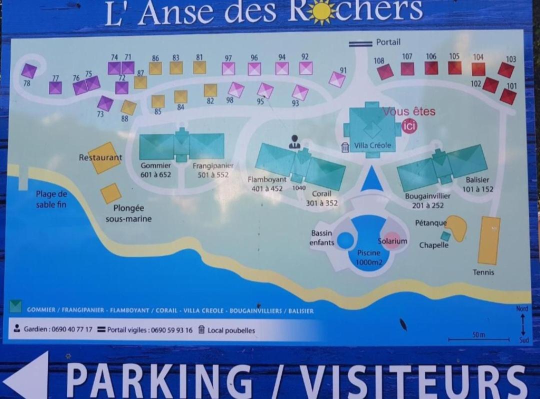 L'oiseau Du Paradis Vue