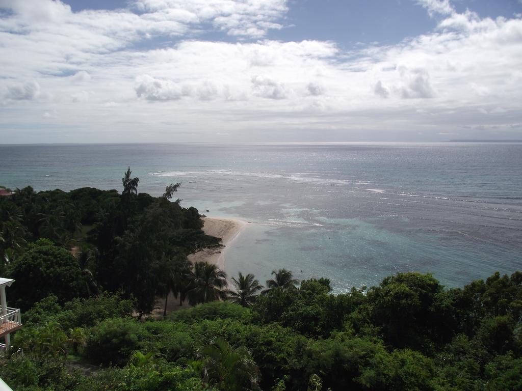 L'oiseau Du Paradis Vue *