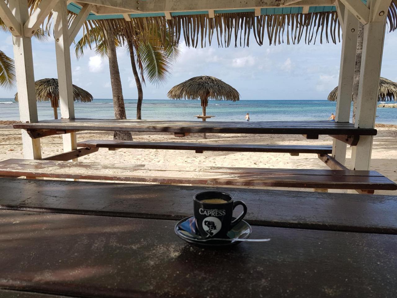 L'oiseau Du Paradis Vue * Saint-Francois (Grande-Terre)